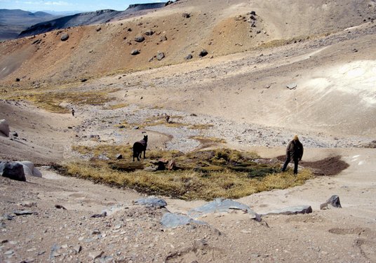 W takim mało porywającym otoczeniu rodzi się majestatyczna i najdłuższa rzeka świata (7040 km)