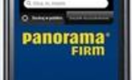 Mobilne wyszukiwarki zyskują na znaczeniu