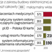 Budowa e-administracji jest bardzo kosztowna