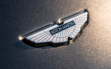 Pierwszy zlot Astona Martina w Polsce