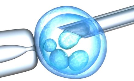 Tworzenie chimer ma być ściśle nadzorowane przez bioetyków