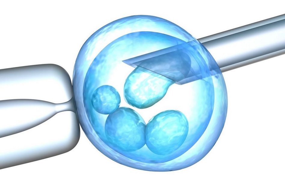 Tworzenie chimer ma być ściśle nadzorowane przez bioetyków