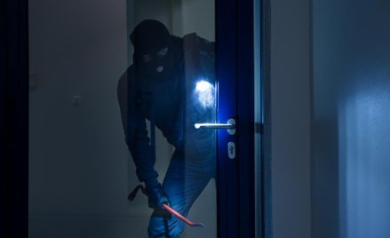 Wyroki za kradzież nie odstraszają złodziei