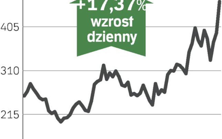 Na fali londyńskiego szczytu