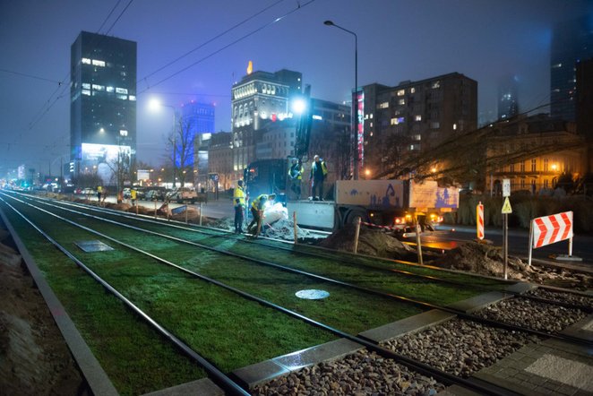 Pierwsze wiązy wzdłuż torowiska na Marszałkowksiej już zostały posadzone