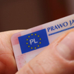 Wymiana rosyjskiego prawa jazdy na polskie: uprawnienie ma być jednakowe
