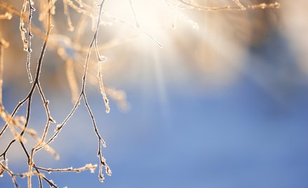 W najbliższym czasie czeka nas ocieplenie i deszcz?