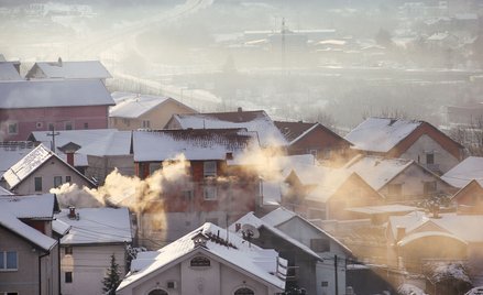 Jak efektywnie uzdrowić  polskie domy jednorodzinne