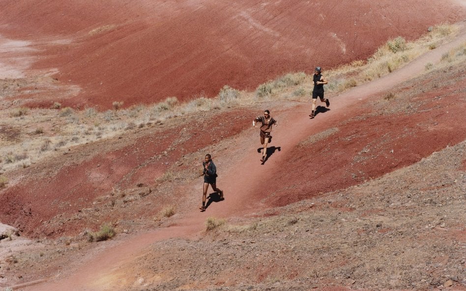 Model Adidas Adizero Evo SL zadebiutował w 2024 roku, ale w ciągu półtora roku doczekał się wielu ed