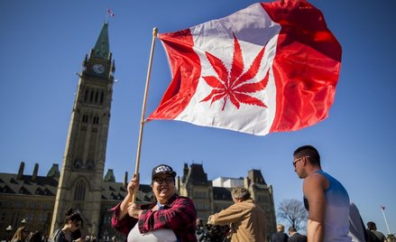 Kanada legalizuje rekreacyjne stosowanie marihuany