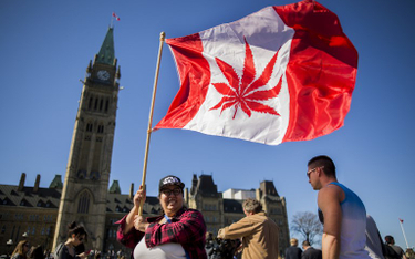 Kanada legalizuje rekreacyjne stosowanie marihuany