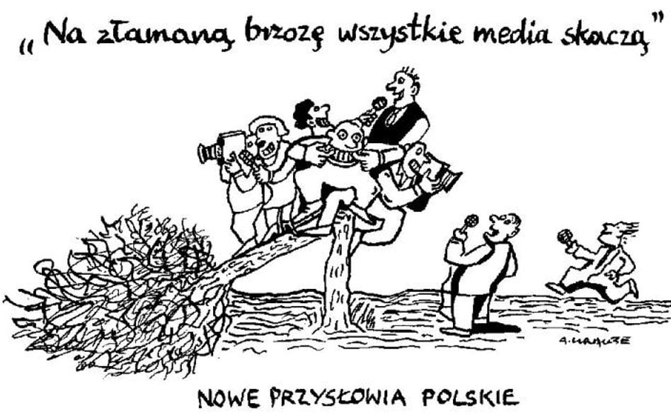 Komentarz rysunkowy. Nowe przysłowia polskie
