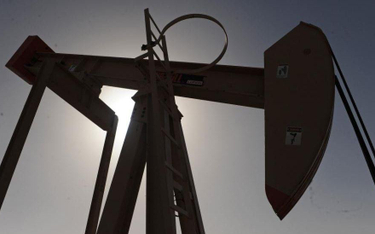 Petrolinvest uregulował część zobowiązań