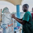 Szef GIS odradza podróże do państw sąsiadujących z Demokratyczną Republiką Konga i Ugandą