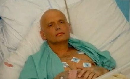 Czy Litwinienko otruł się sam?