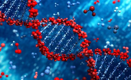 Epigenetyka: DNA nie jest naszym przeznaczeniem