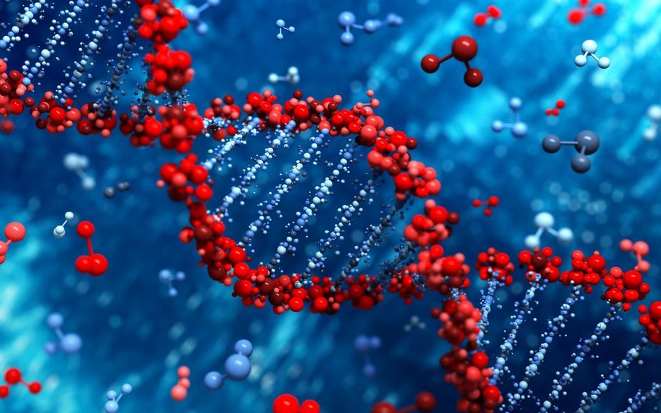 Epigenetyka: DNA nie jest naszym przeznaczeniem