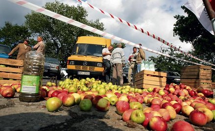 Ceny owoców dzielą rolników i przetwórców
