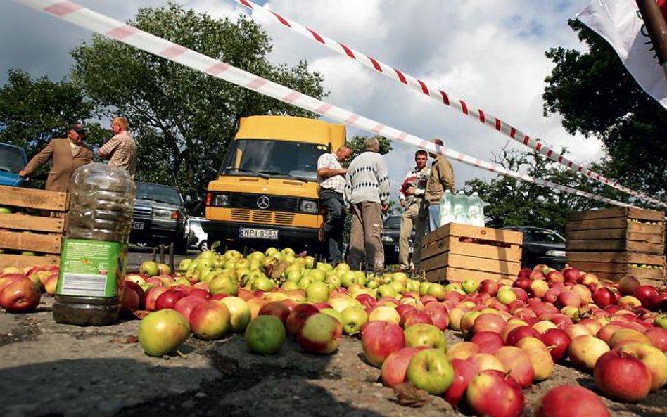 Ceny owoców dzielą rolników i przetwórców