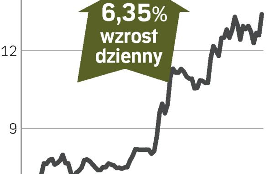 Rosną notowania Eko Exportu