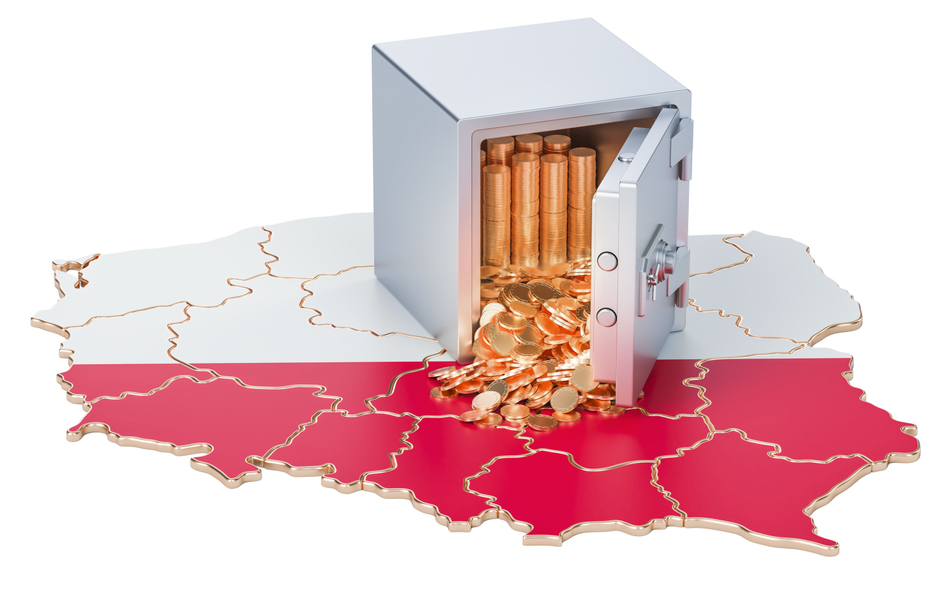 Czy wniosek o dofinansowanie z Polskiego Ładu to informacja publiczna