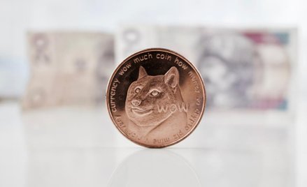 Podążamy za Muskiem i kupujemy swoje pierwsze dogecoiny. Cz. 4