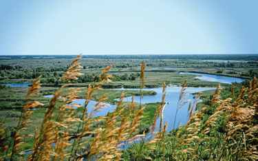Porośnięte trzciną równiny zalewowe rzeki Worskli, widok współczesny