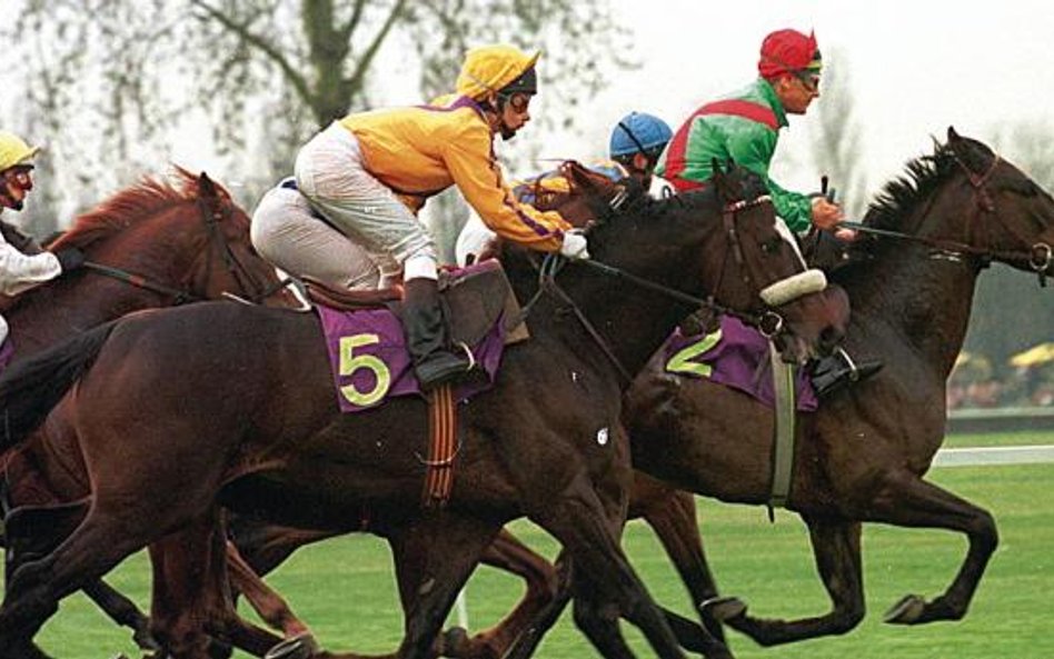 Ważą się losy wyścigów konnych