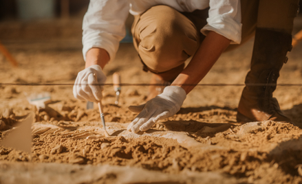 Amerykańscy paleontolodzy odkryli skamieniałości ssaka, który żył w czasach dominacji największych g