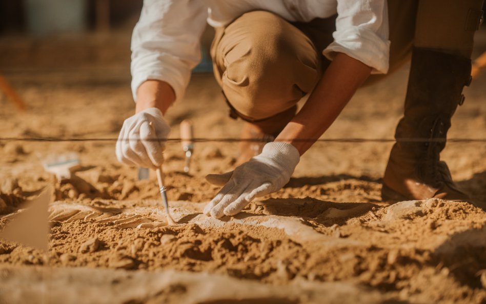 Amerykańscy paleontolodzy odkryli skamieniałości ssaka, który żył w czasach dominacji największych g