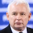 Piotr Wierzbicki o antypisowskiej krucjacie