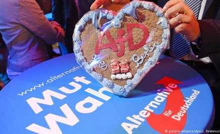 AfD w Nadrenii-Palatynacie płaci uczestnikom demonstracji. "Dla dobra Niemiec"