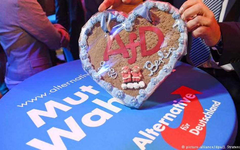 AfD w Nadrenii-Palatynacie płaci uczestnikom demonstracji. "Dla dobra Niemiec"