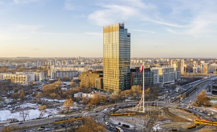 Infor w zielonym kompleksie Forest