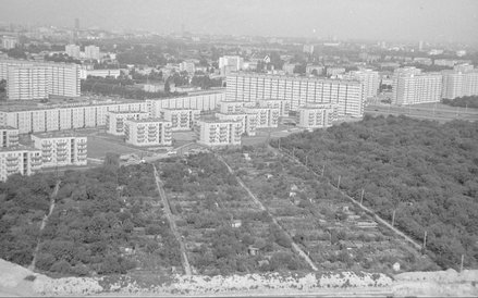 Saska Kępa i Gocław w Warszawie. Widok z lotu ptaka na ogródki działkowe przy ul. Egipskiej. Na dals