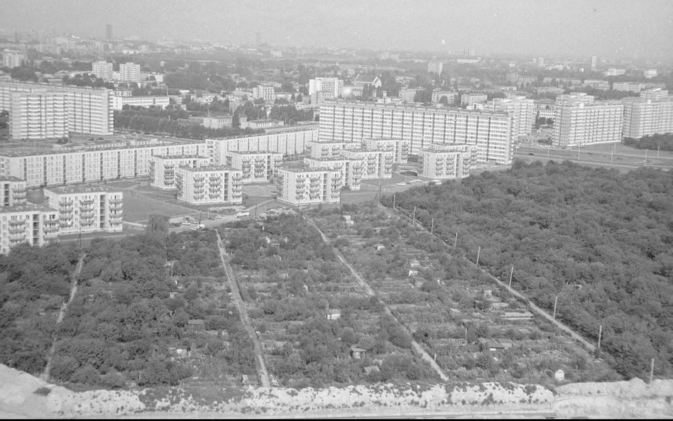 Saska Kępa i Gocław w Warszawie. Widok z lotu ptaka na ogródki działkowe przy ul. Egipskiej. Na dals