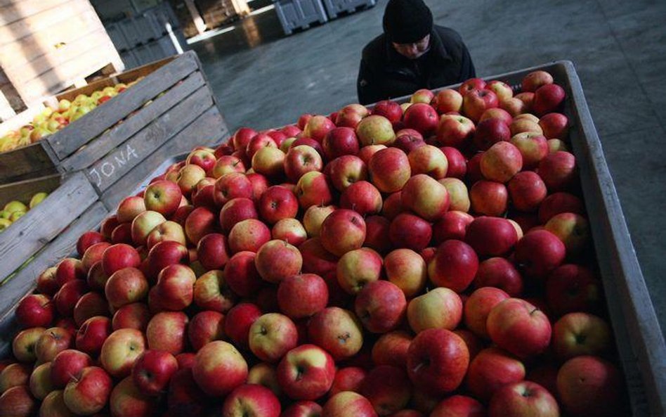 Spór na rynku owoców