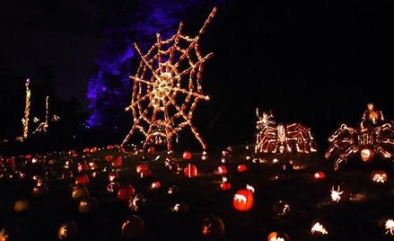 Upiorne dynie podbiły Nowy Jork