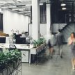 Instytucje państwowe potrzebują przestronnych, komfortowych biur o przemyślanej architekturze
