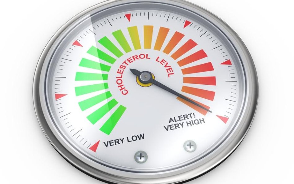 Jak sterole i stanole roślinne obniżają cholesterol?