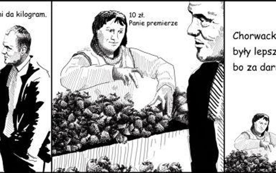 Premier malowany, czyli komiks SLD o Donaldzie Tusku