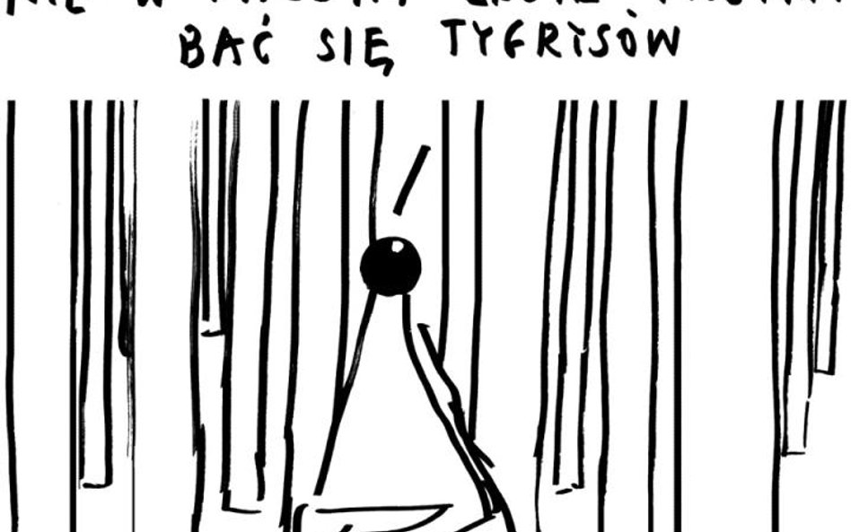 Rysuje Janusz Kapusta