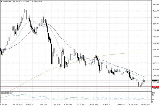 Notowania soi w USA – dane dzienne