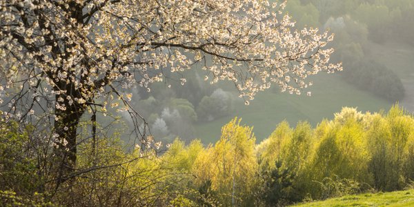 Pogoda na czwartek. Spokojna aura w większości kraju, gorzej na południu