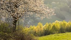 W czwartek w większości regionów utrzyma się małe i umiarkowane zachmurzenie