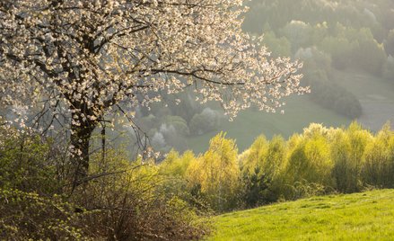 W czwartek w większości regionów utrzyma się małe i umiarkowane zachmurzenie