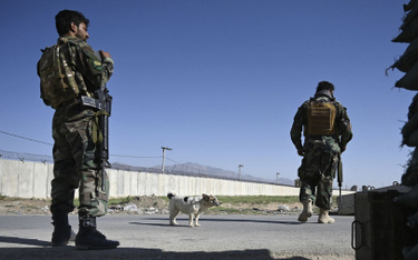 Rząd Afganistanu wysłał samoloty po żołnierzy, którzy uciekli przed talibami