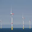 Niemcy ograniczają moce morskiej energetyki wiatrowej w nowych lokalizacjach
