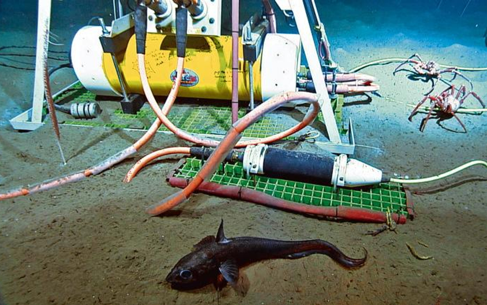 Setki takich czujników tworzących system NEPTUNE są rozmieszczone na dnie oceanu. Zdjęcie: NEPTUNE C