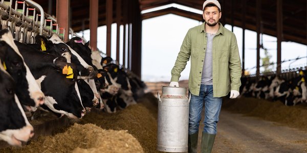 Rolnicy zadowoleni z cen skupu, ale problemy w branży zwierzęcej nie ustępują